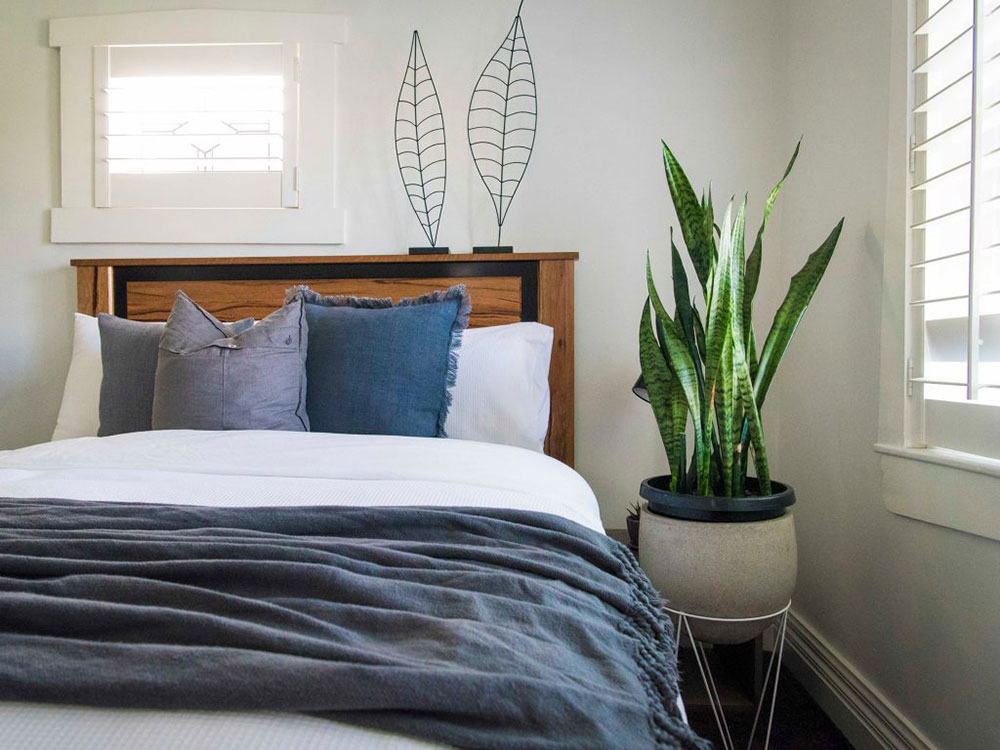Bedroom-plants-1024x768 4 interior design tricks to transform your bedroom