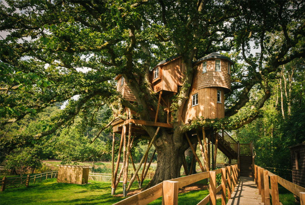 Image-10-9 Cool Tree House Design Ideas to Build (44 Images)