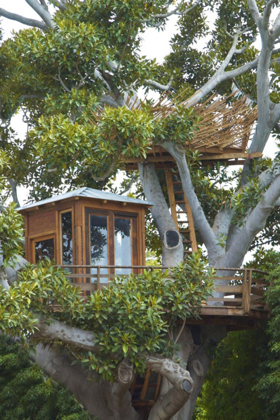 t25 Cool Treehouse Design Ideas to Build (44 Pictures)