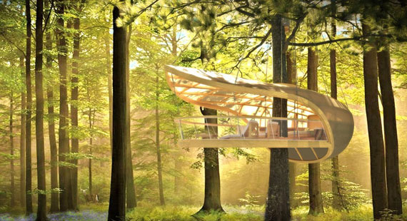 t31 Cool Treehouse Design Ideas to Build (44 Pictures)