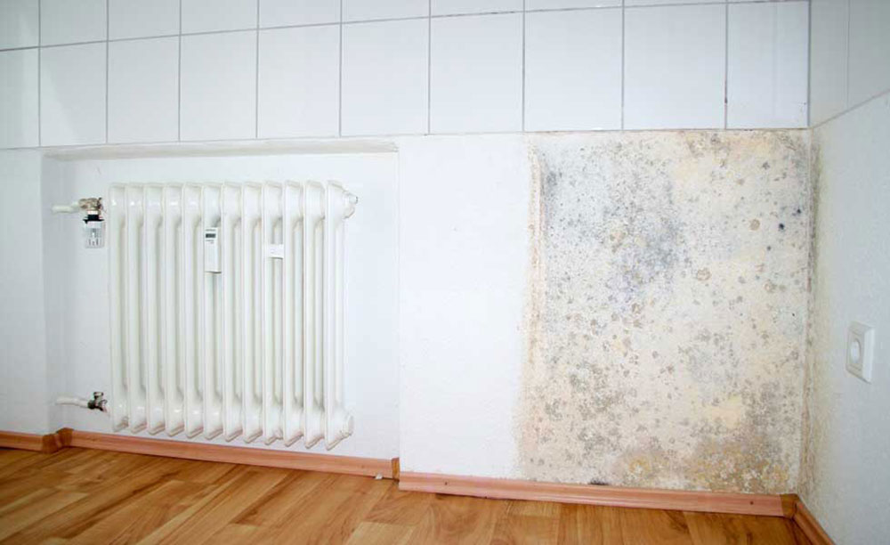 Damp wall and radiator1 How to keep your home damp
