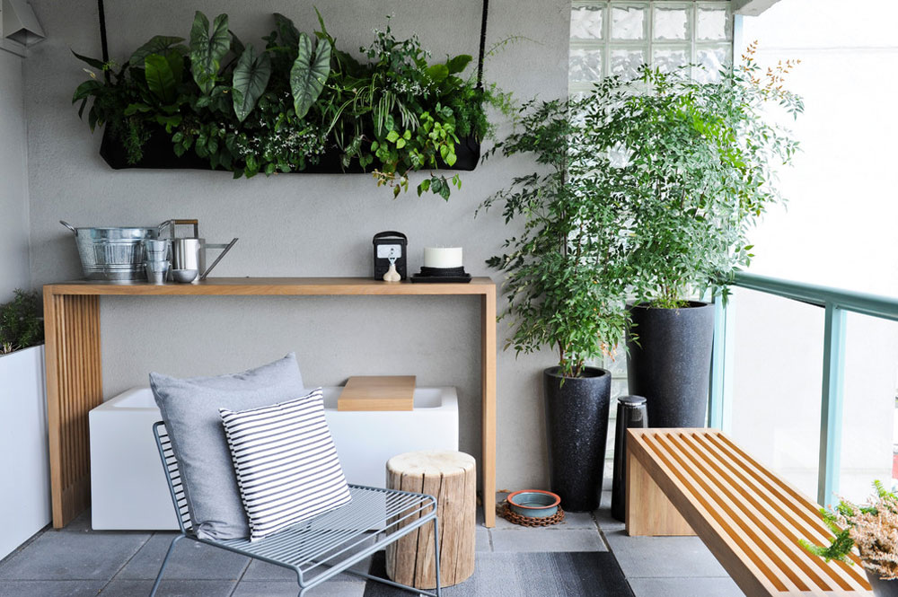 Decorating-your-house-interiors-with-plants-9 Decorate the interiors of your house with plants