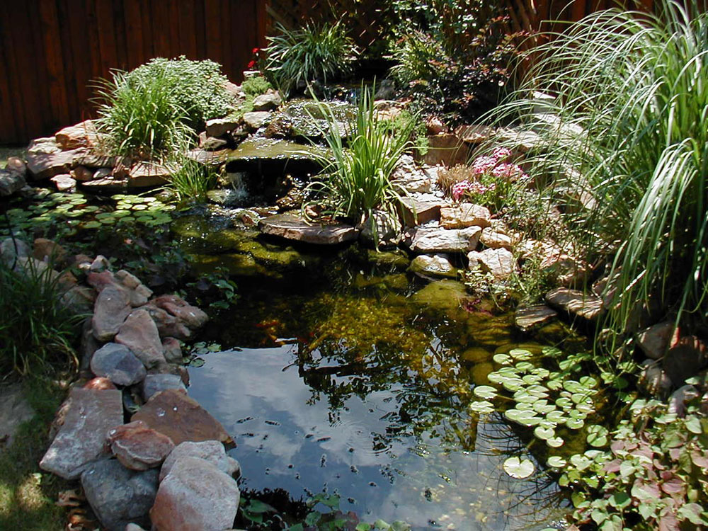 Create a Unique Back Yard With These Garden Pond Design Ideas-13 Create a Unique Back Yard With These Garden Pond Design Ideas