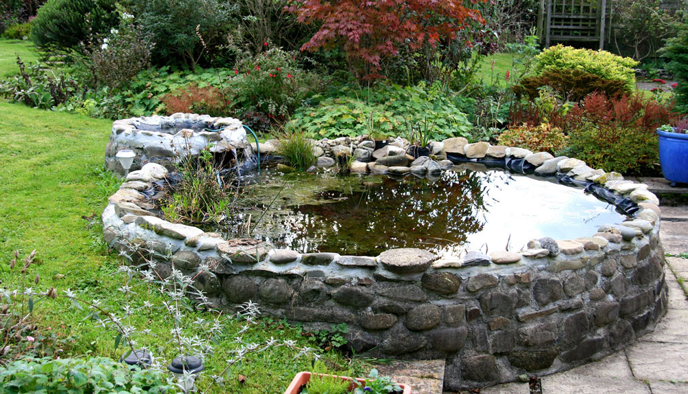 Create a Unique Back Yard With These Garden Pond Design Ideas-5 Create a Unique Back Yard With These Garden Pond Design Ideas