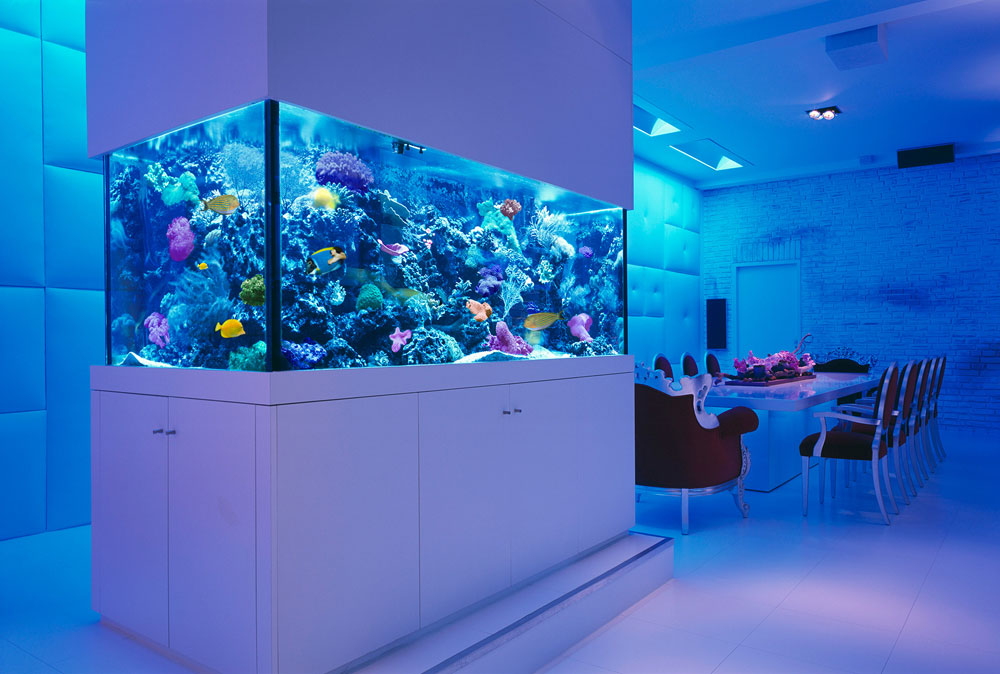 Change the look of your room with this aquarium tank 1 Change the look of your room with these aquarium tanks