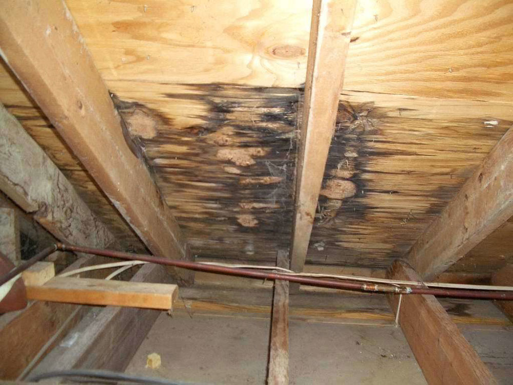 4604678361-1024x768 Finding a roof leak and determining its causes