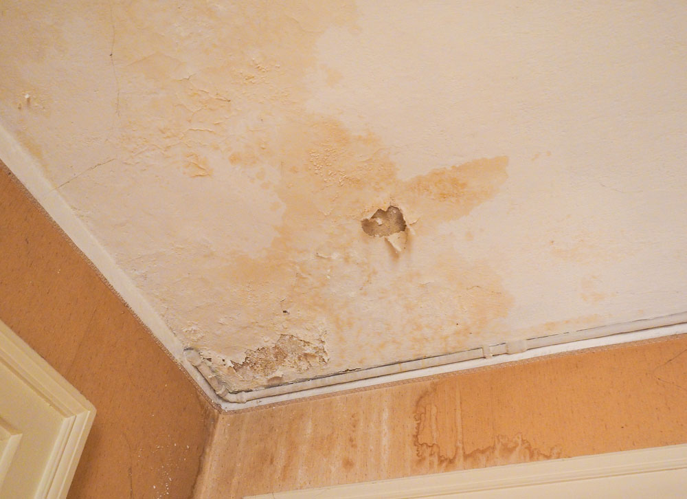 How to Keep Your Home Damp-Free-1 How to Keep Your Home Damp