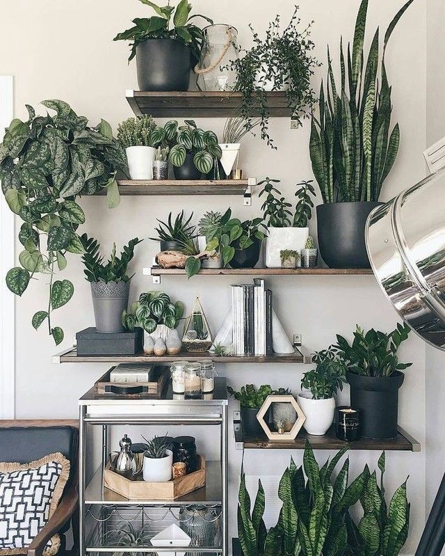 How to integrate plants in an apartment
