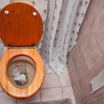 Is Your Toilet Right For You?