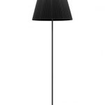 Black floor lamp
