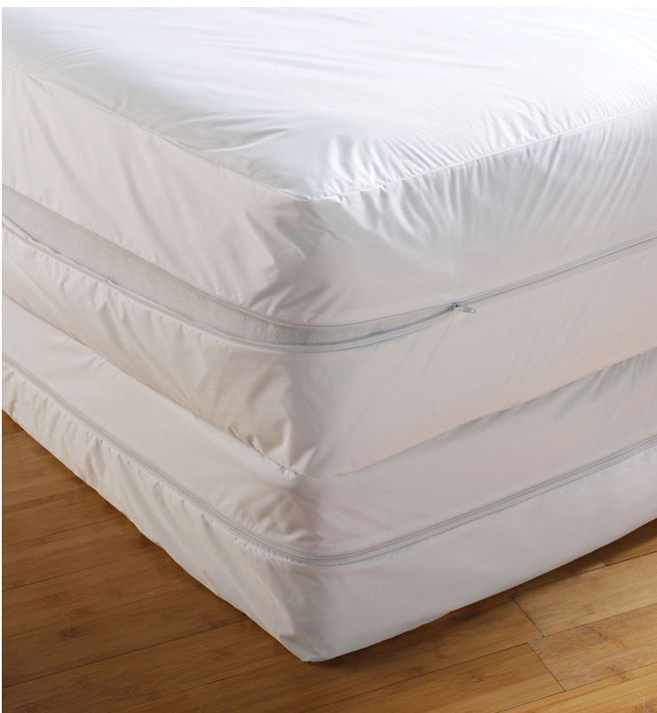 Why should you have bed bug mattress covers