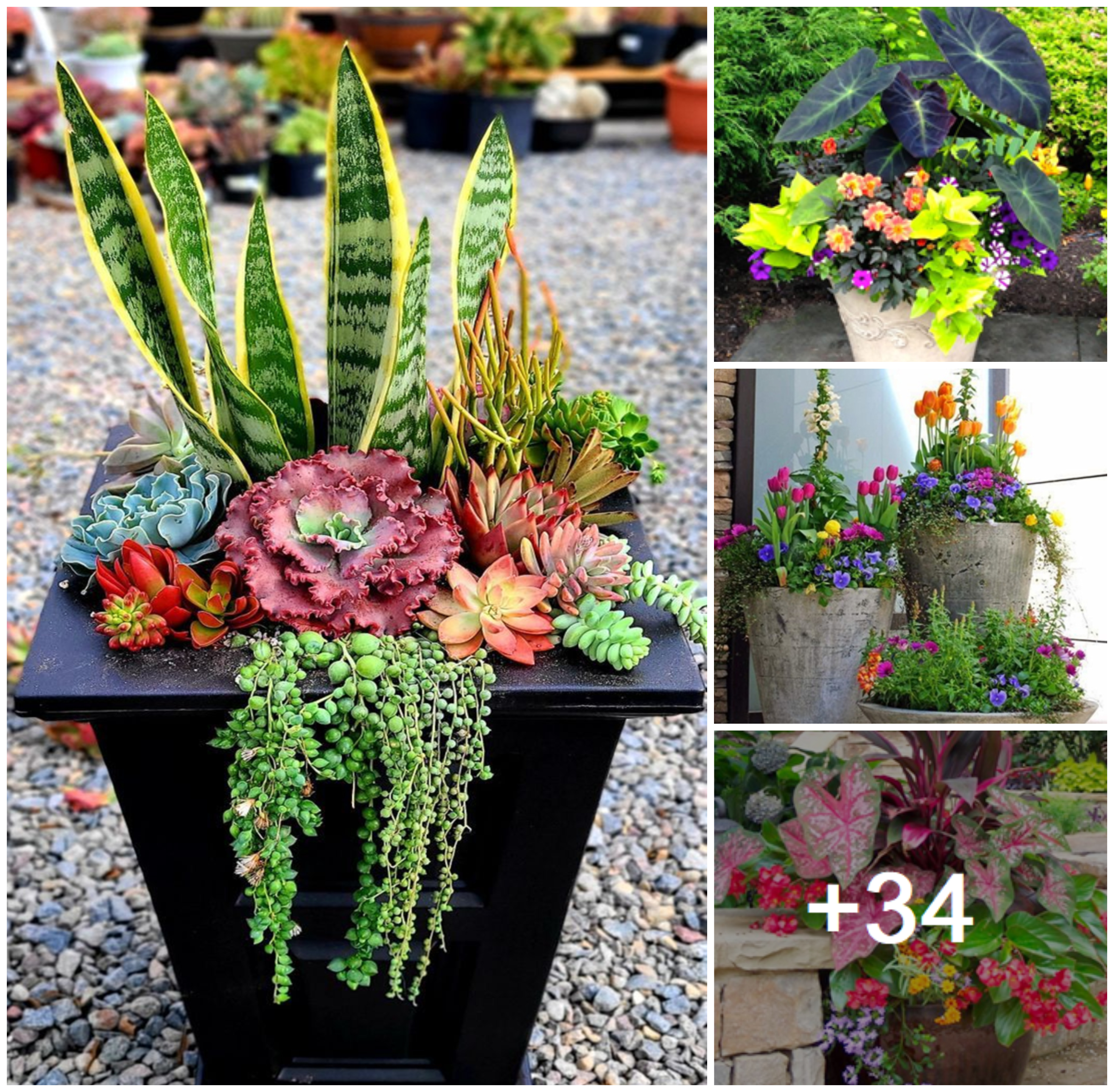 How to Build a Charming Planter in Home