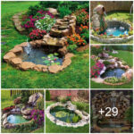 Accent your garden with a small pond