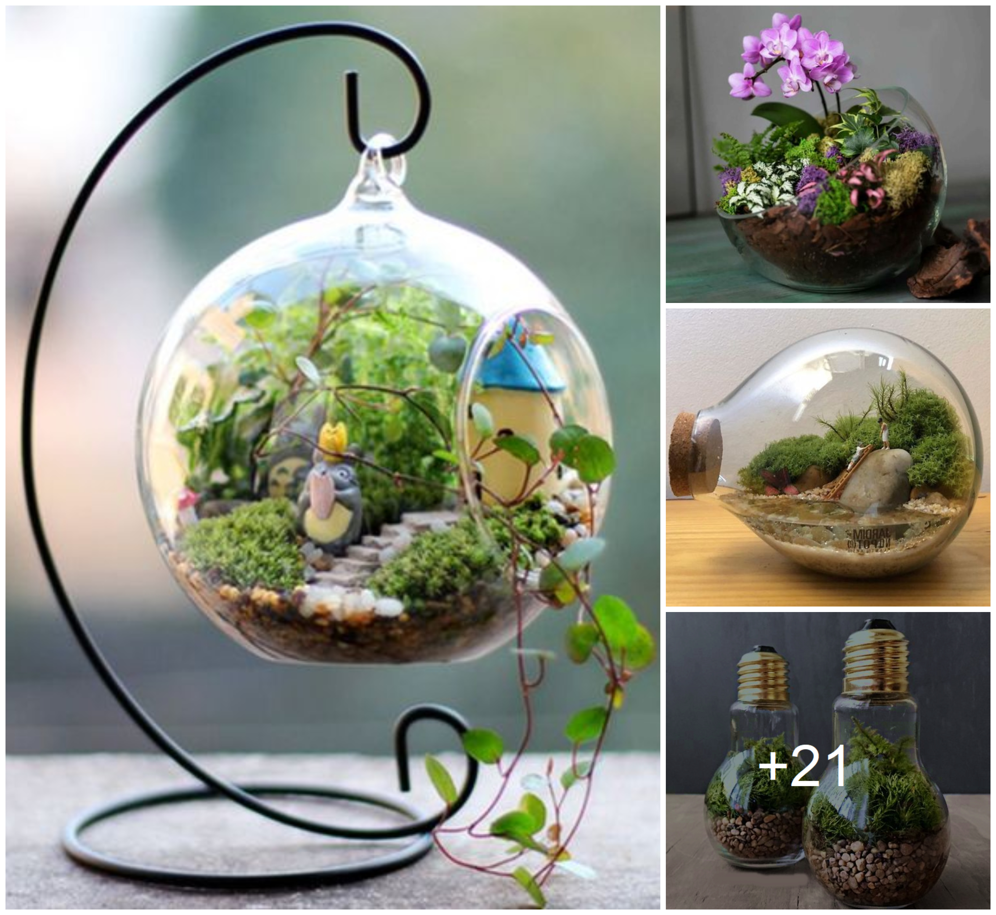 How to Make the Most Beautiful Mini Terrariums for Your Living Room