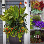 Beautify your porch with charming decorative pots and flowers