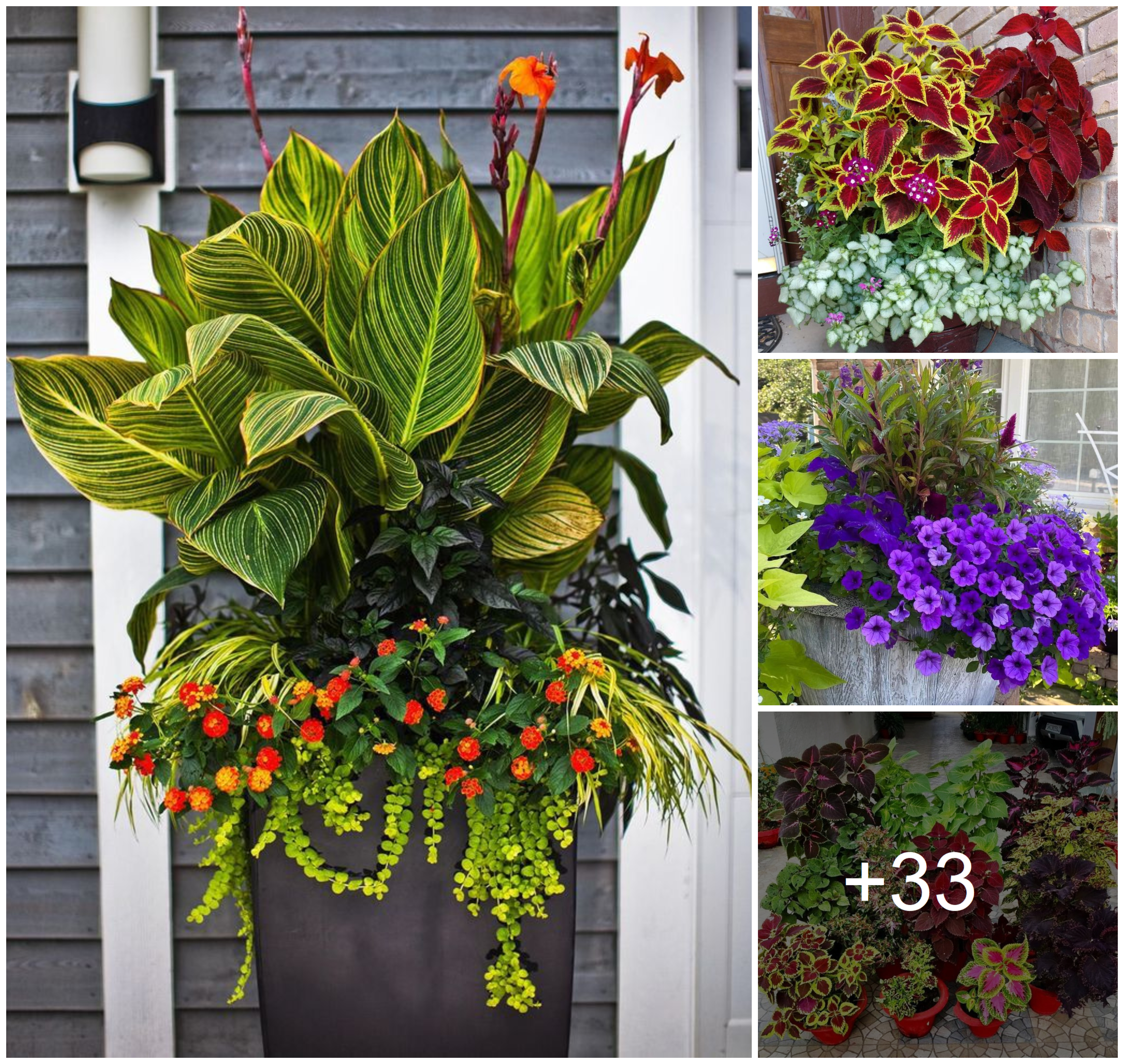 Beautify your porch with charming decorative pots and flowers