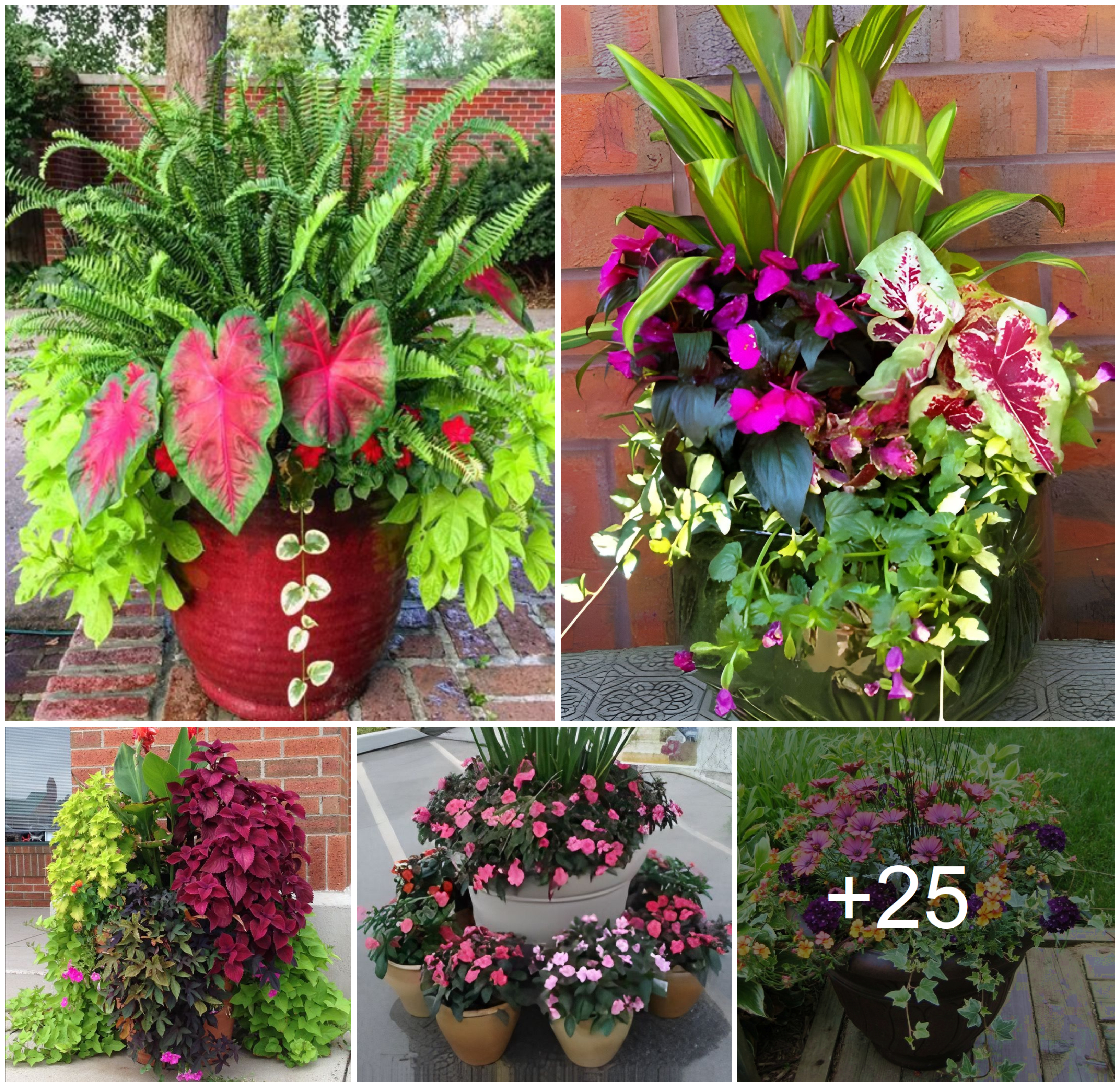 Amazing pot designs and garden decors for this spring