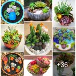Dazzling succulent planters that will add sparkle to your home