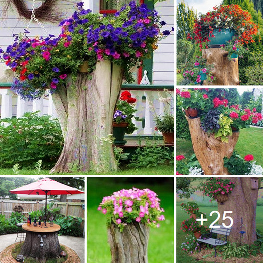 Amazing tree stump ideas for your garden