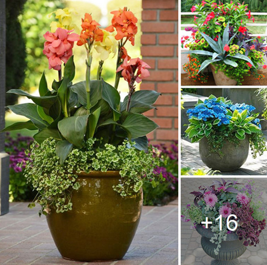 How to design a flower planter with wonderful flowers at home