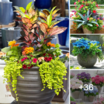 Amazing planter designs for your backyard
