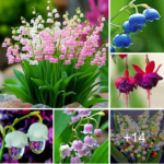 How to grow lily of the valley for your garden