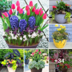 How to easily design a charming planter garden