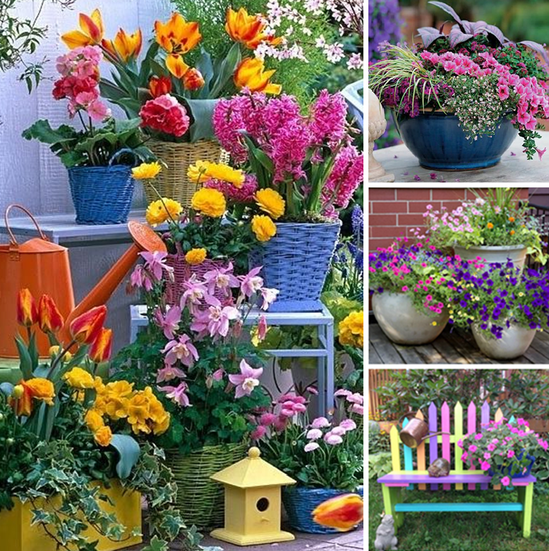 Amazing planter designs for your backyard