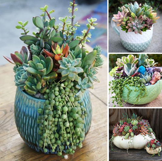 Dazzling succulent planters that will add sparkle to your home