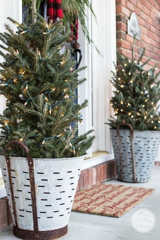 Galvanized Olive Bucket Planters