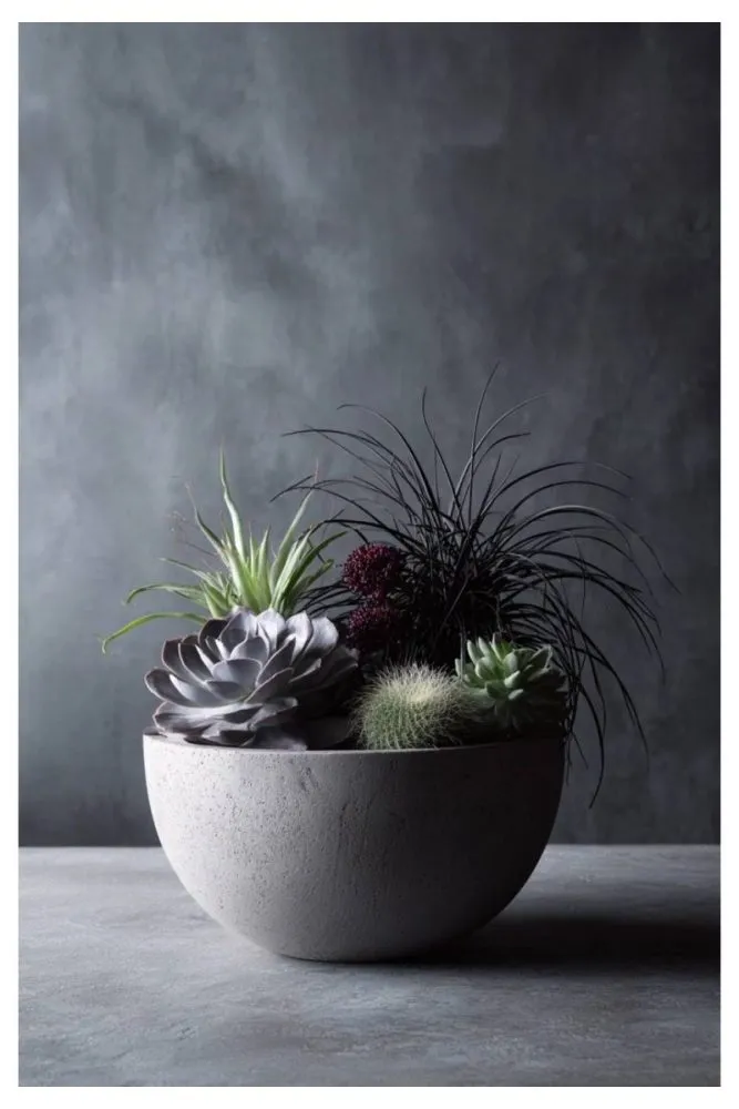 Charcoal Succulent Cluster