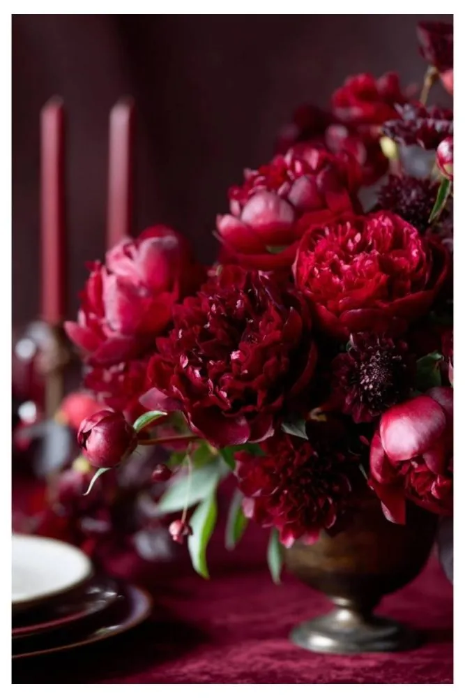 Crimson Flowers with Cobwebs