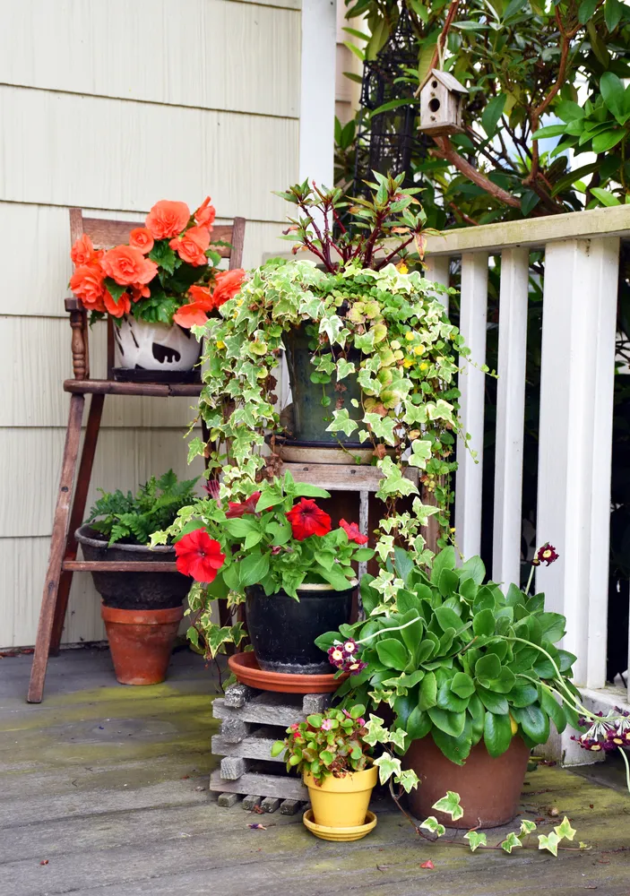 Porch with tall ferns in matching planters
