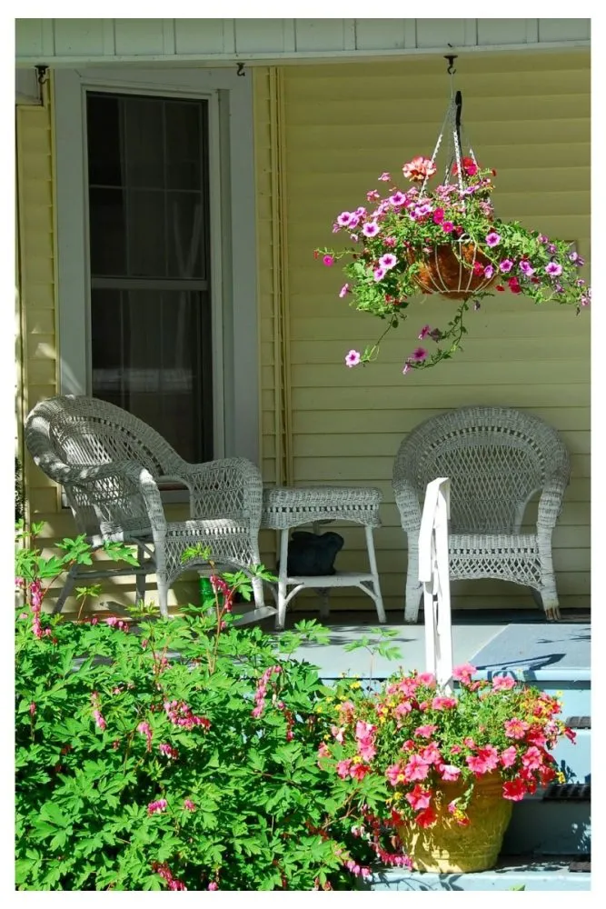 Wicker baskets used as planters