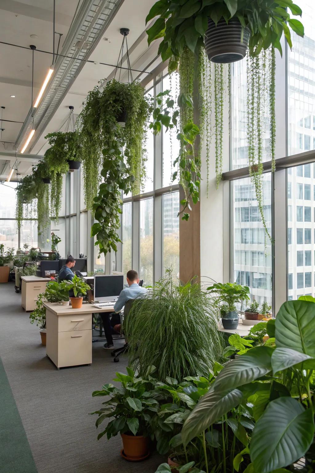 Office space enriched with lush indoor plants.