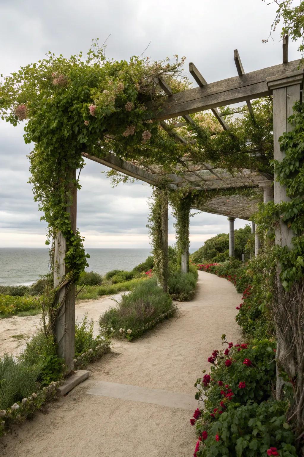 Pergolas provide shade and elegance in coastal gardens.