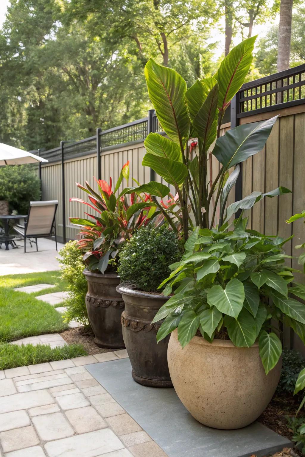 Potted plants provide adaptable and green privacy solutions.